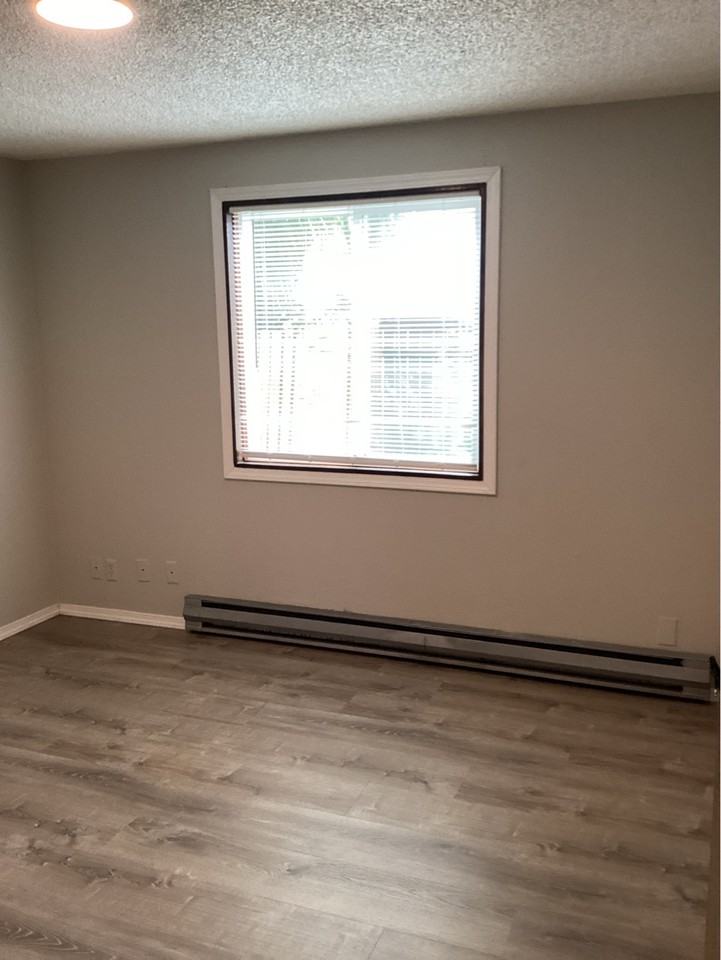 40 Fern St #1 - Photo 5 of 9