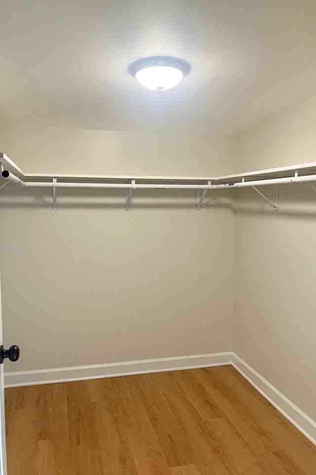 7327 Chestnut Ave - Photo 3 of 15