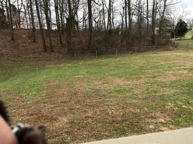 1017 Heatherwood Rd - Photo 5 of 5