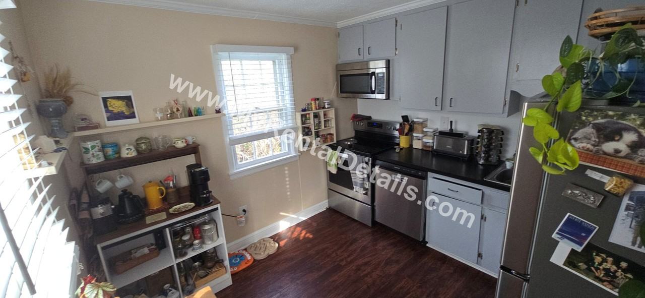 41 Lennox St - Photo 6 of 20