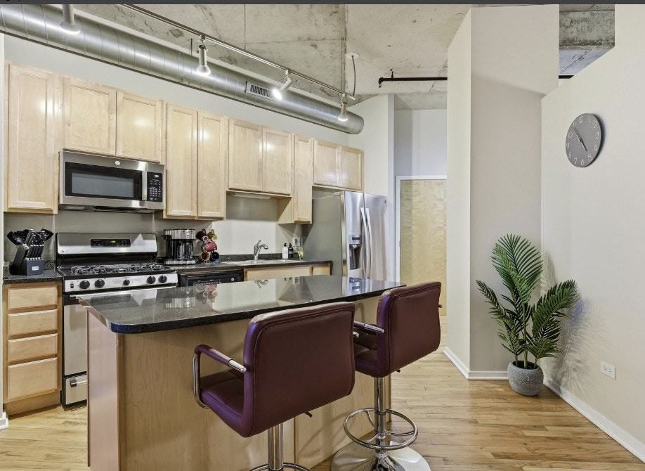 6 South Laflin Street, Unit 920 - Photo 5 of 22