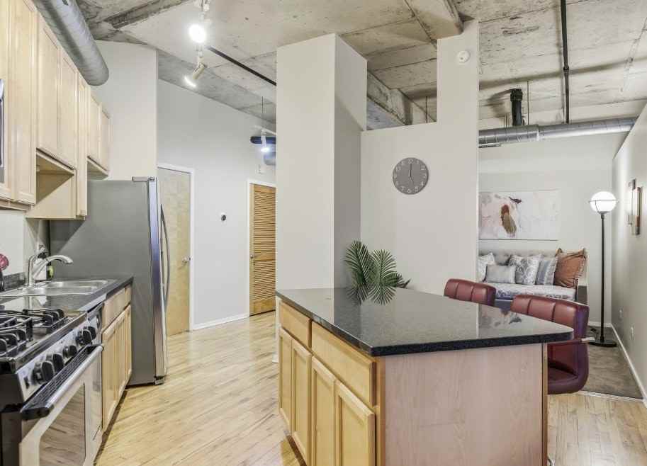 6 South Laflin Street, Unit 920 - Photo 7 of 22