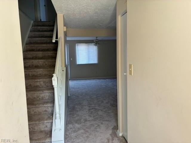 25 Christine Ct - Photo 5 of 17
