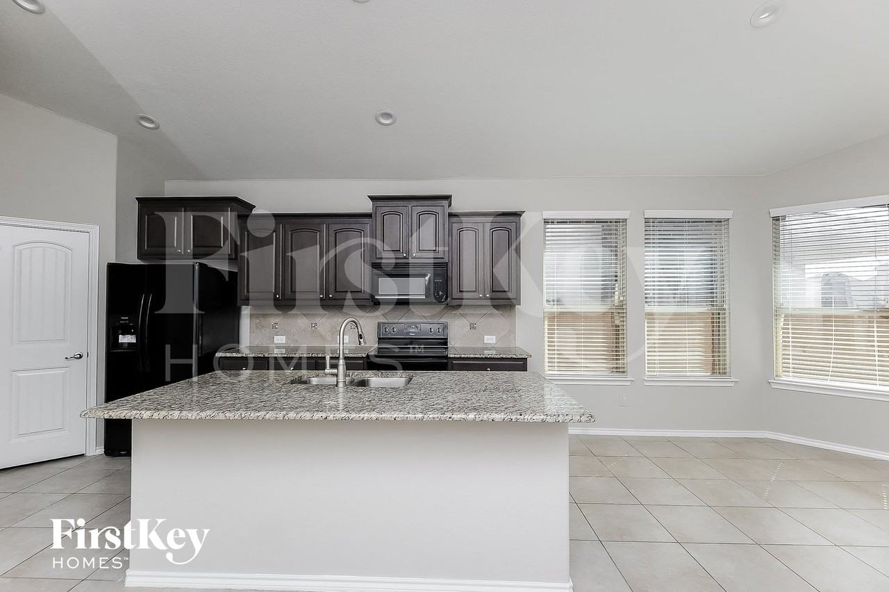 11501 Dorado Vista Trl - Photo 5 of 14