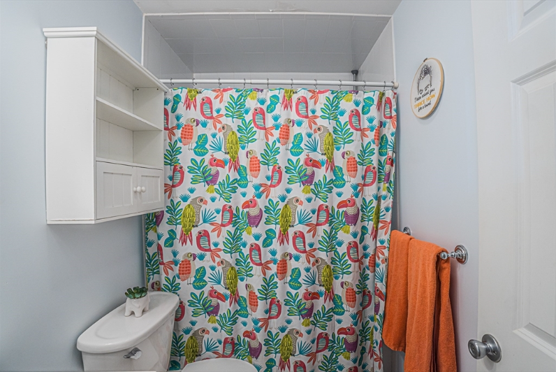 7 Mortimer Pl #2 - Photo 3 of 11