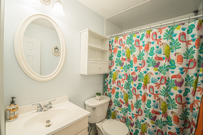 7 Mortimer Pl #2 - Photo 4 of 11