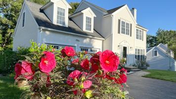 featured image of 19 Indian Pond Rd