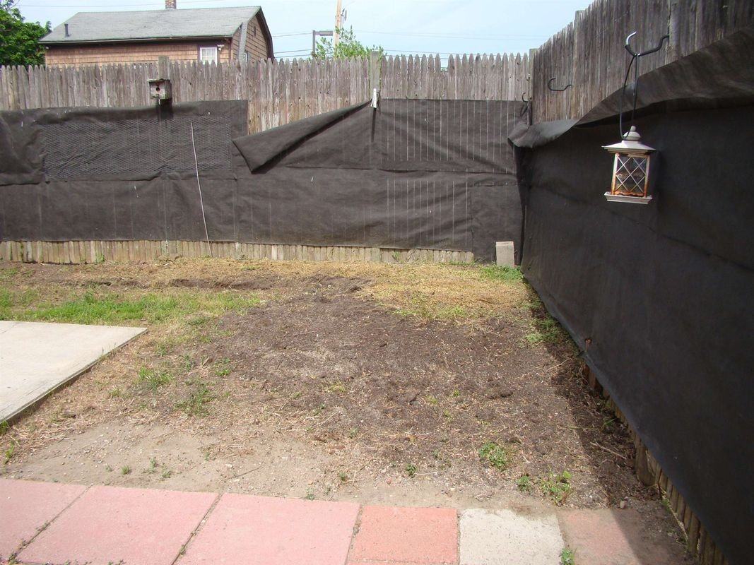 145 Mcquesten St - Photo 4 of 18