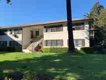 Lovely 2 bedroom 1 bath apt. in South Pasadena! - Photo 1 of 1