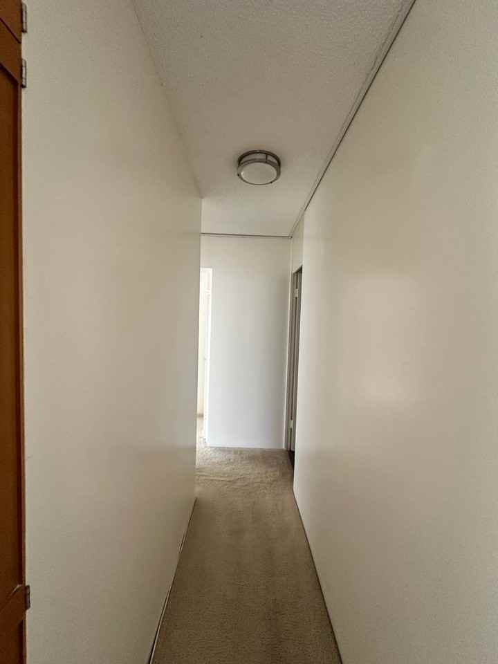 1050 Kinau St - Photo 3 of 8