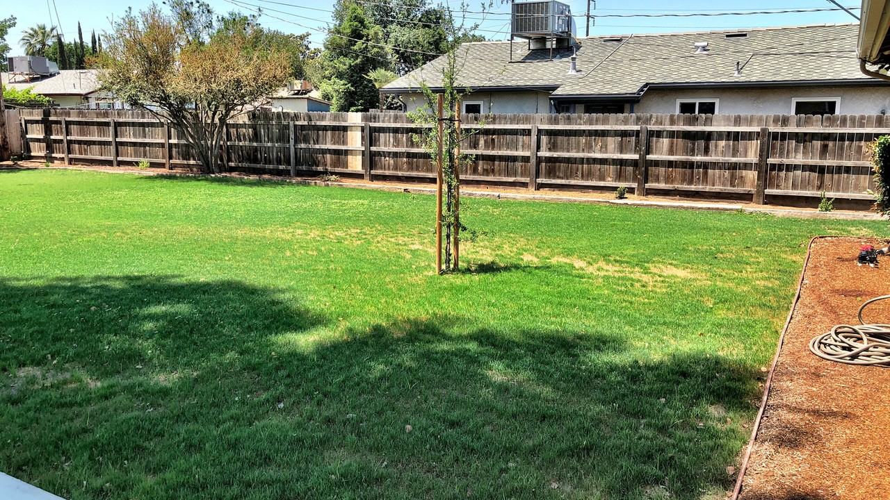 161 E Lois Ave - Photo 4 of 15