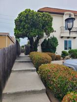 Balboa - Photo 1 of 1