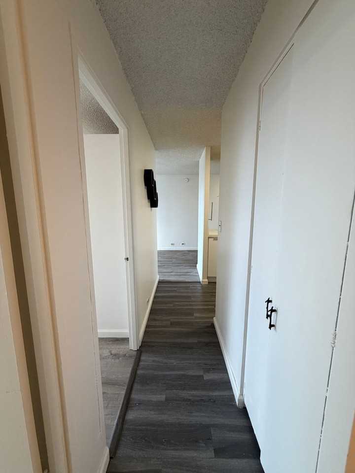 1535 Pensacola St #208 - Photo 6 of 13
