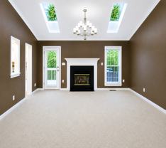 209 Windsor Forest Cir - Photo 1 of 1