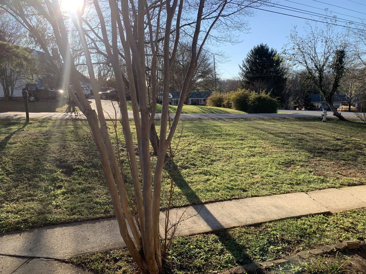 1216 Dandridge Dr #NA - Photo 5 of 36