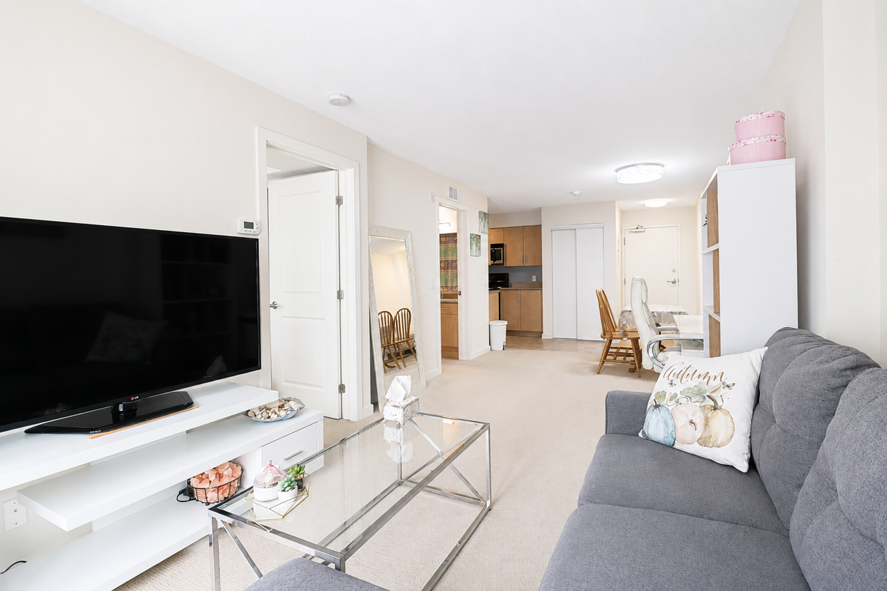 138 Somerset Street West #711 - Photo 6 of 15