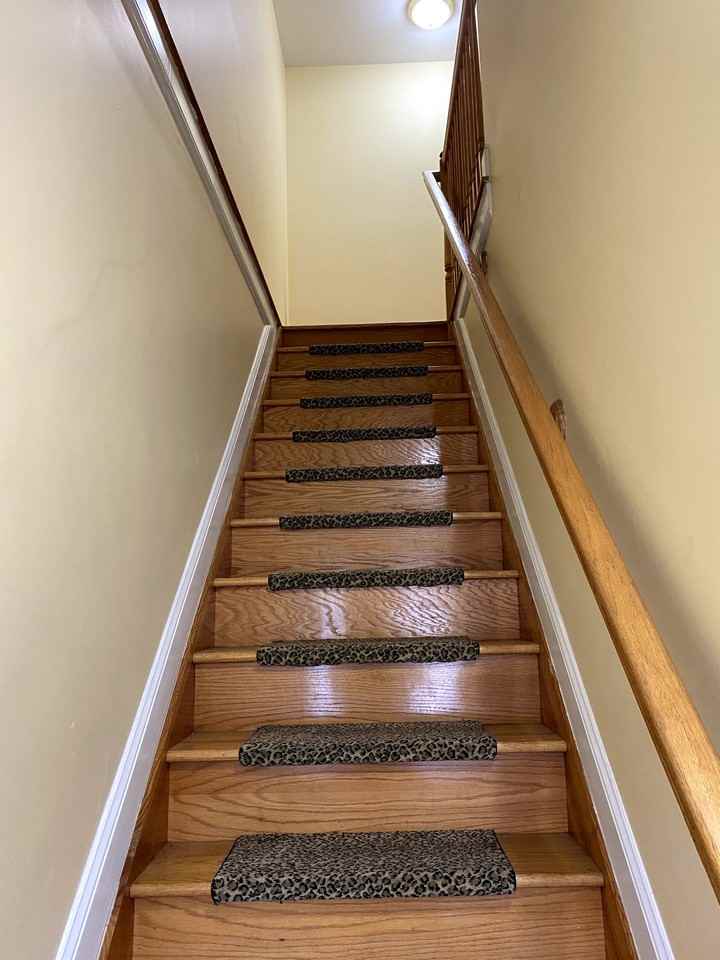 219 Congress St #1 - Photo 6 of 17