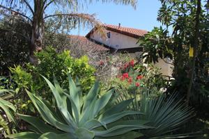 featured image of 350 Oliver Rd #A