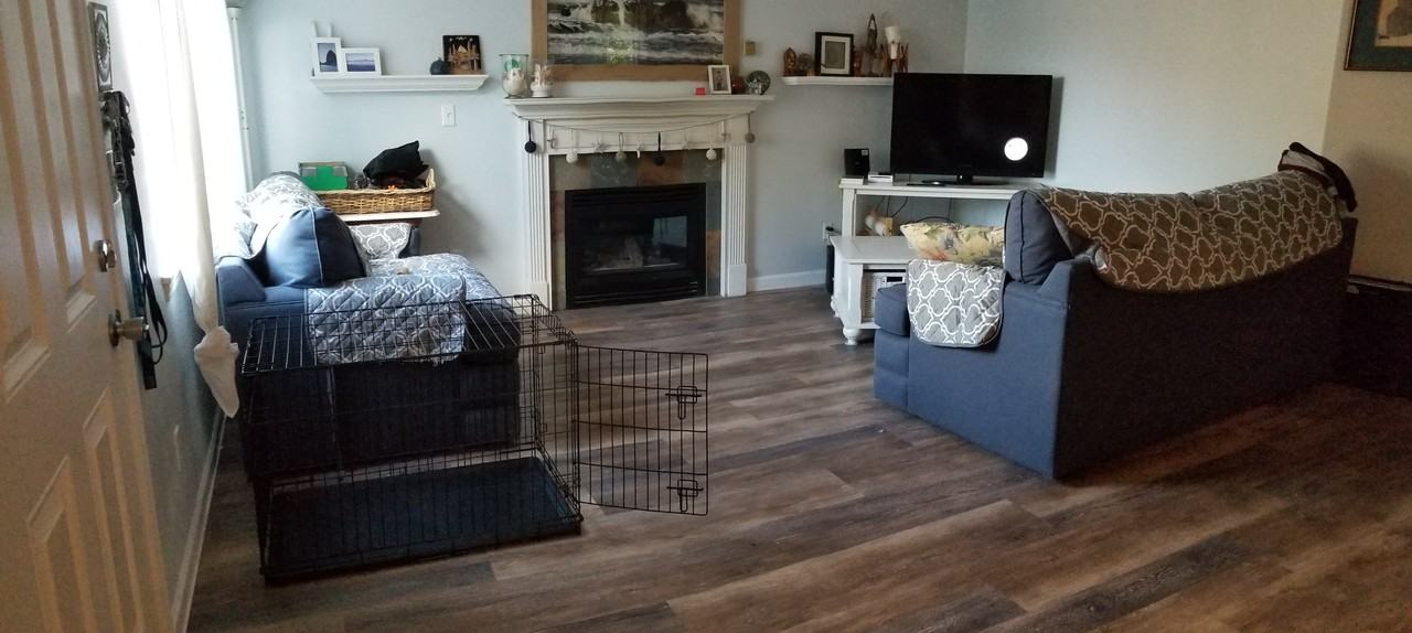 6844 Sw Fleet Ave #NA - Photo 3 of 14