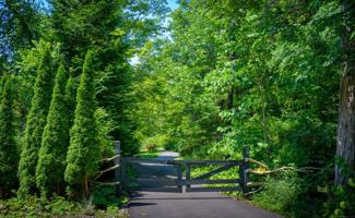 featured image of 35 Kirk Rd