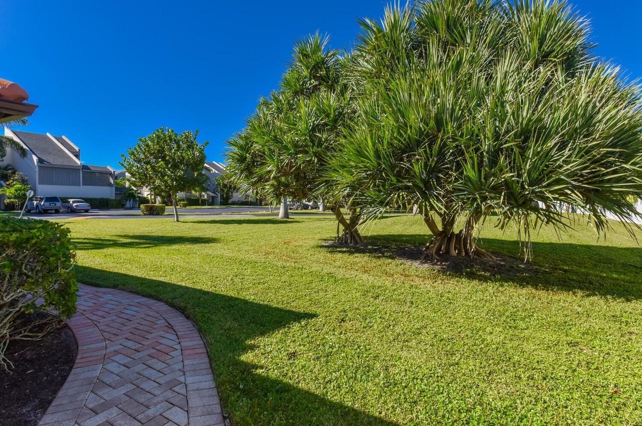 1469 Via Privada - Photo 5 of 39