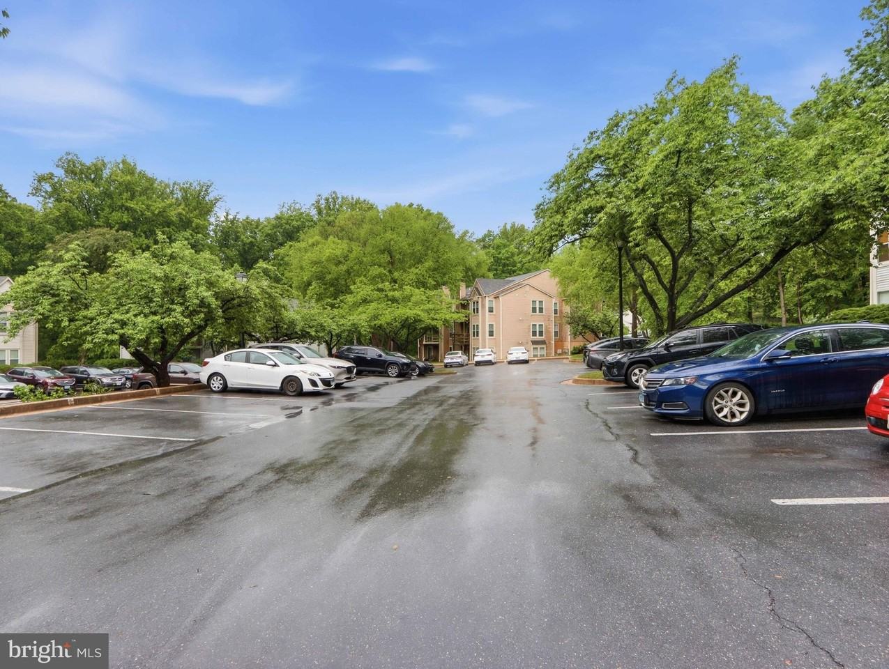 11510 Little Patuxent Pkwy #407 - Photo 4 of 24