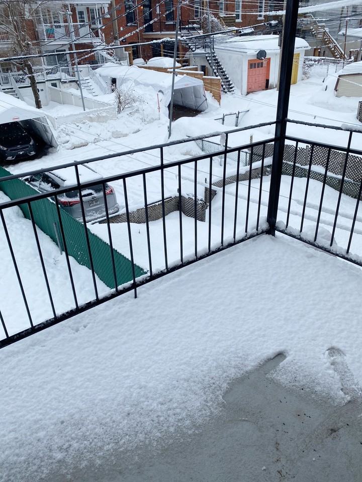 6783 Avenue Louis-Hébert #6783 - Photo 5 of 11