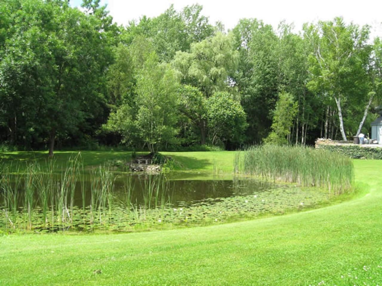 327 Doonans Corners-E Meredith Rd #1492967P - Photo 6 of 28