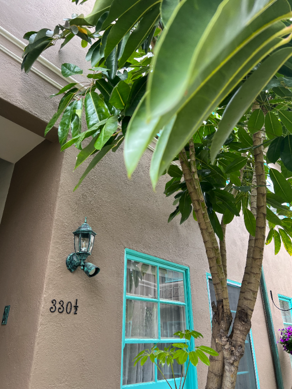 326 N Gardner St #330-3 - Photo 7 of 20