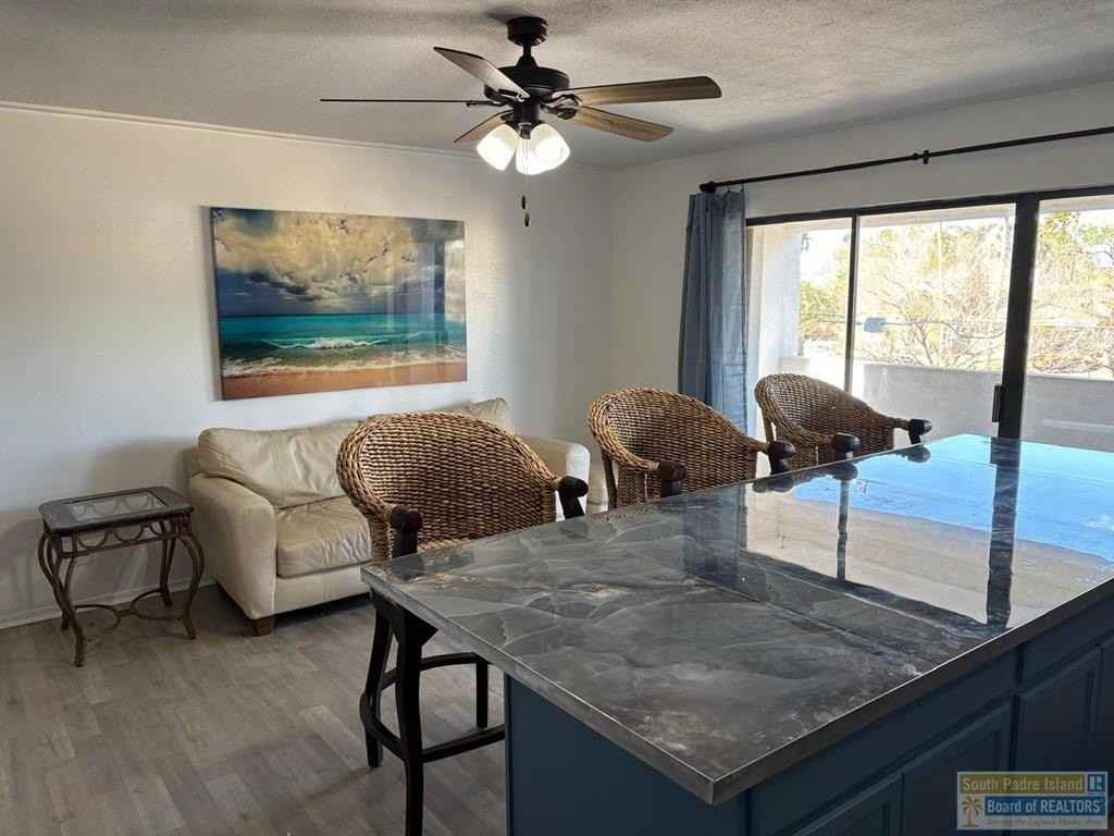 829 N Yturria St #2 - Photo 4 of 12
