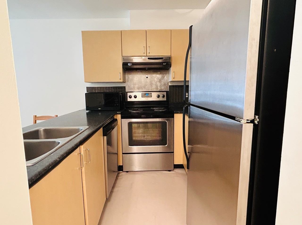 335 Carnarvon Street #2nd Floor - Photo 6 of 11