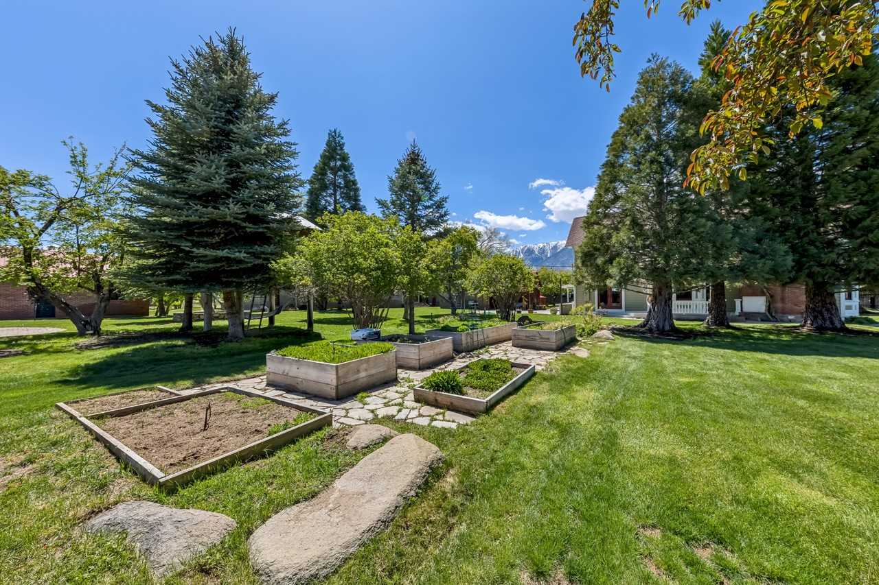 1049 Dressler Ln #NA - Photo 5 of 45