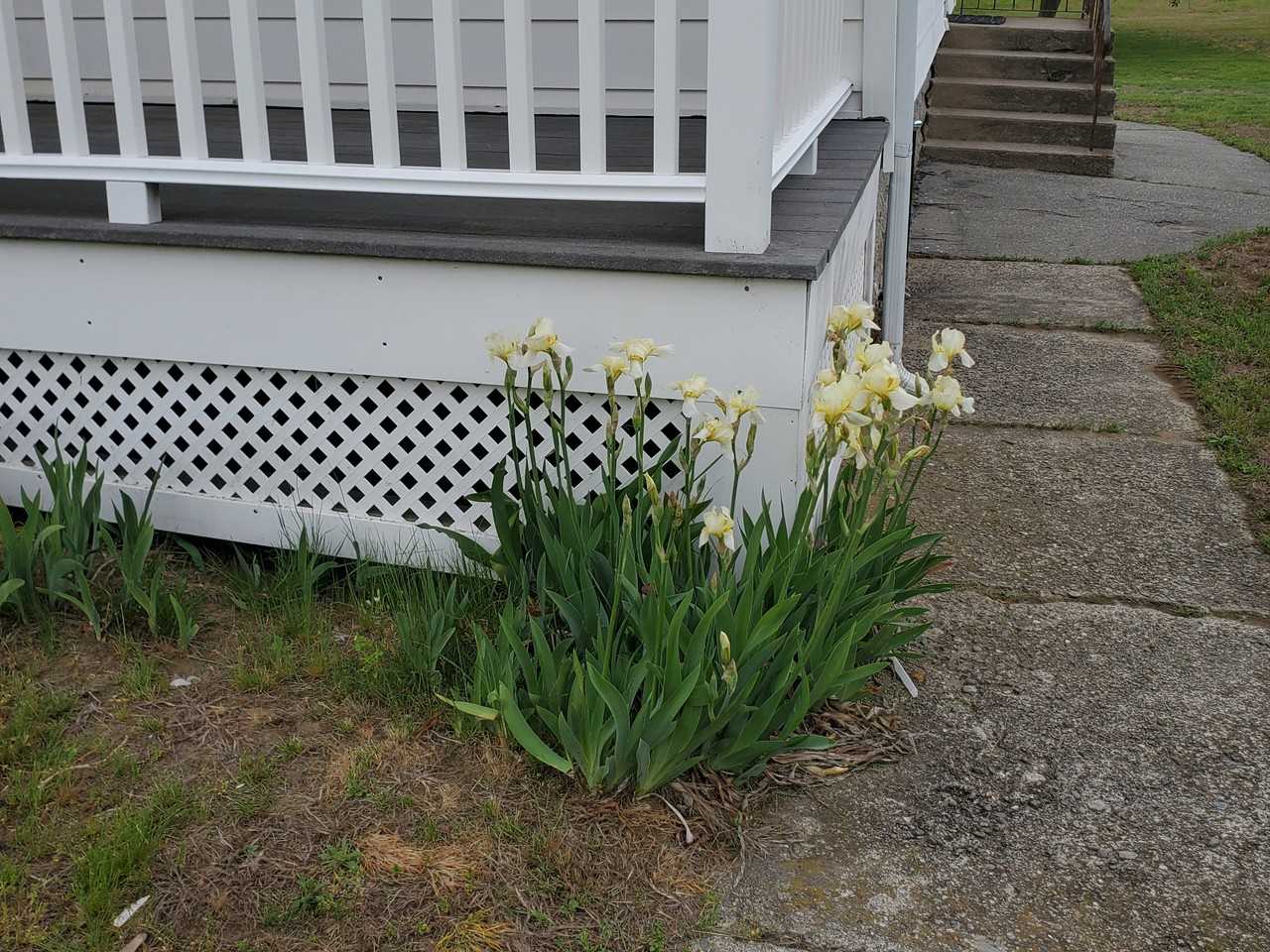 846 Pleasant St #NA - Photo 2 of 22