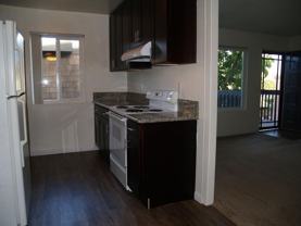 Sea Chase (Acacia Avenue) - Photo 1 of 1
