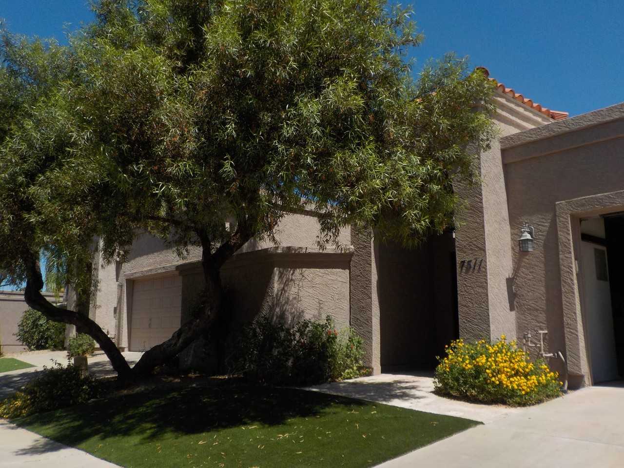 7511 N Via De La Siesta - Photo 3 of 25