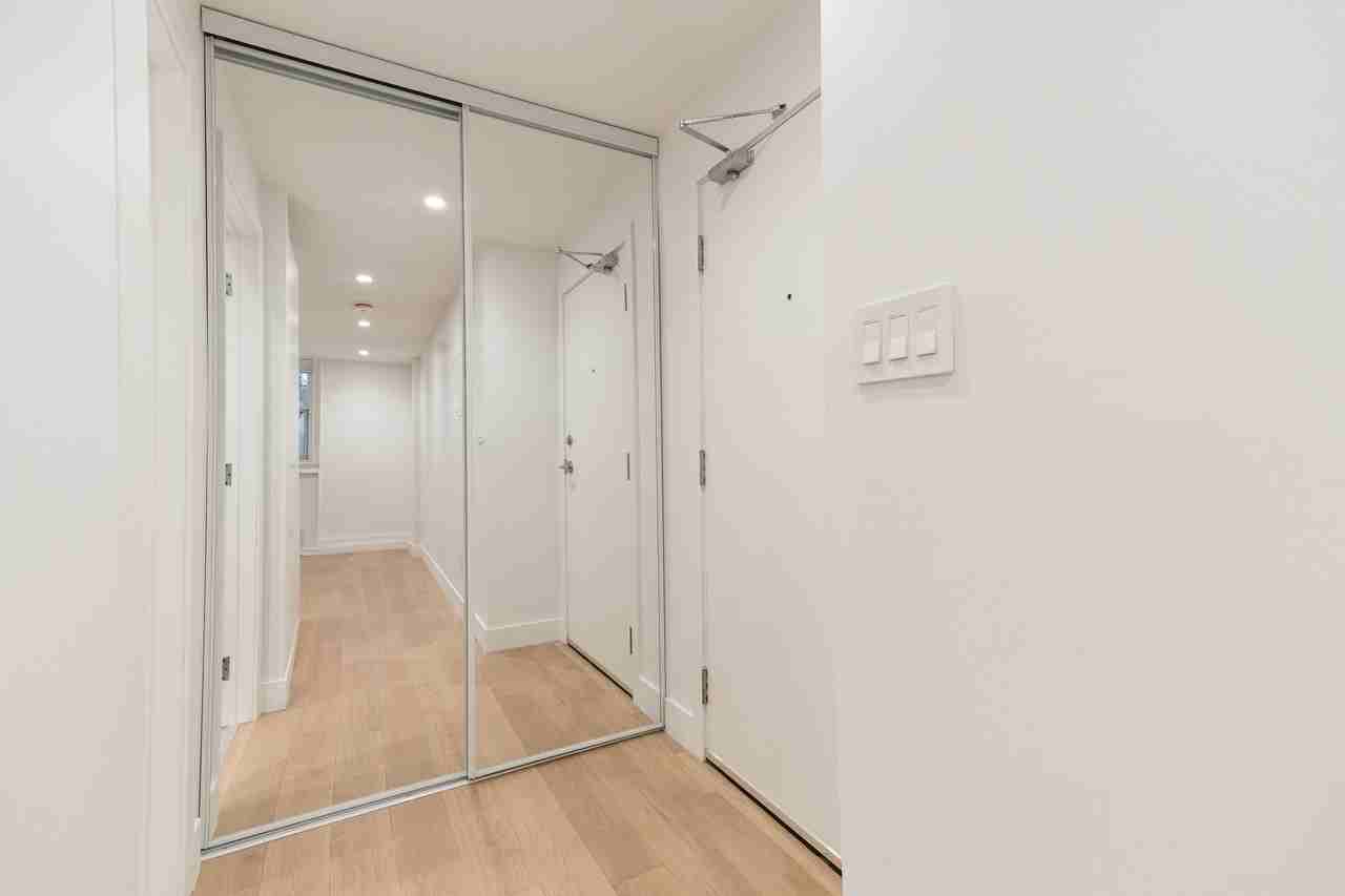 54 - 56 Maitland Street - Photo 5 of 50