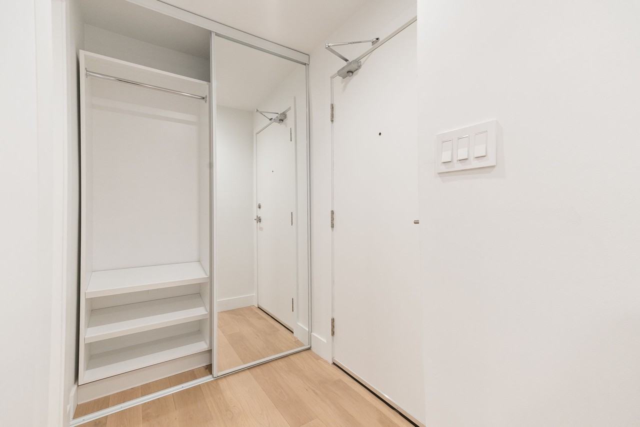 54 - 56 Maitland Street - Photo 6 of 50