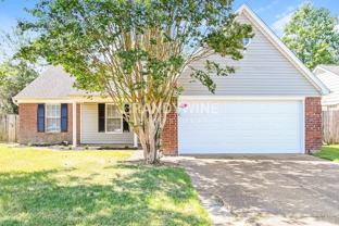 7569 Bridelwreath Dr - Photo 1 of 1
