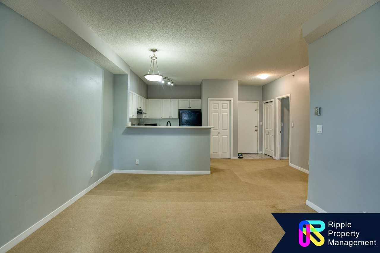 333 Taravista Dr Ne - Photo 2 of 13