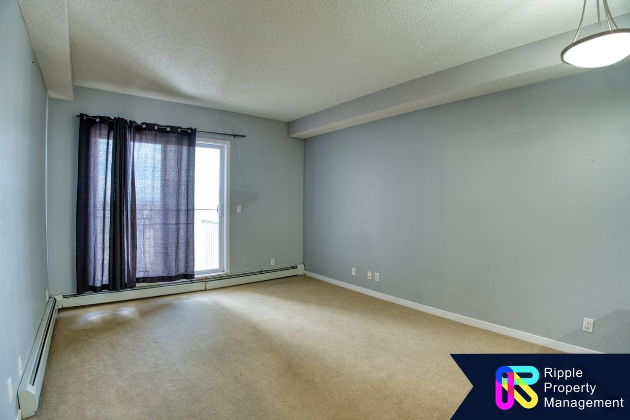 333 Taravista Dr Ne - Photo 6 of 13