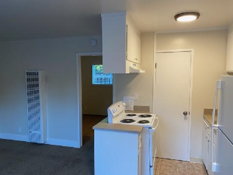 318 Chestnut St #5 - Photo 3 of 50