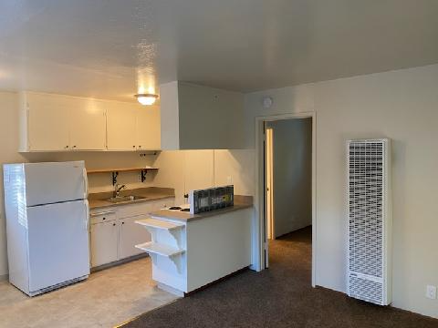318 Chestnut St #5 - Photo 5 of 50