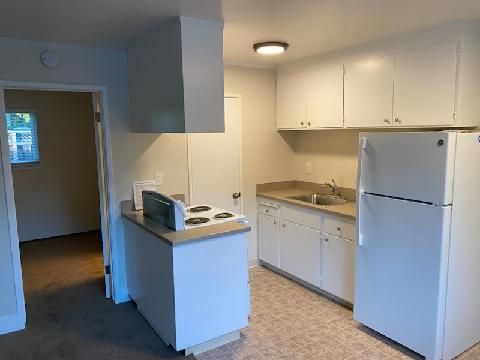 318 Chestnut St #5 - Photo 6 of 50