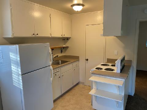318 Chestnut St #5 - Photo 7 of 50
