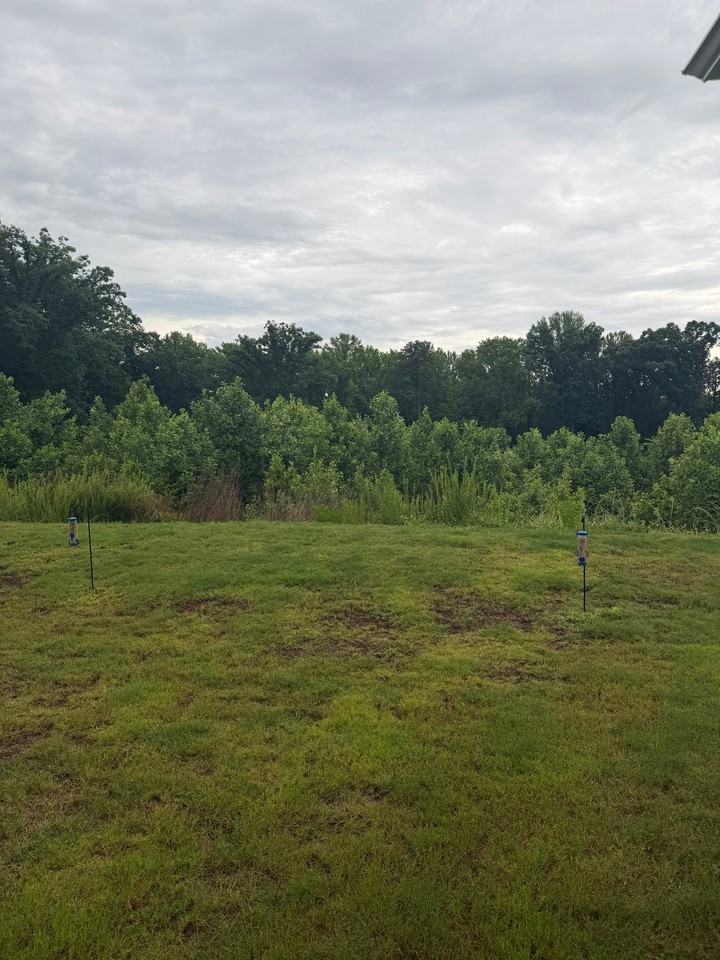225 Hickory Grove Ln #4 - Photo 7 of 20