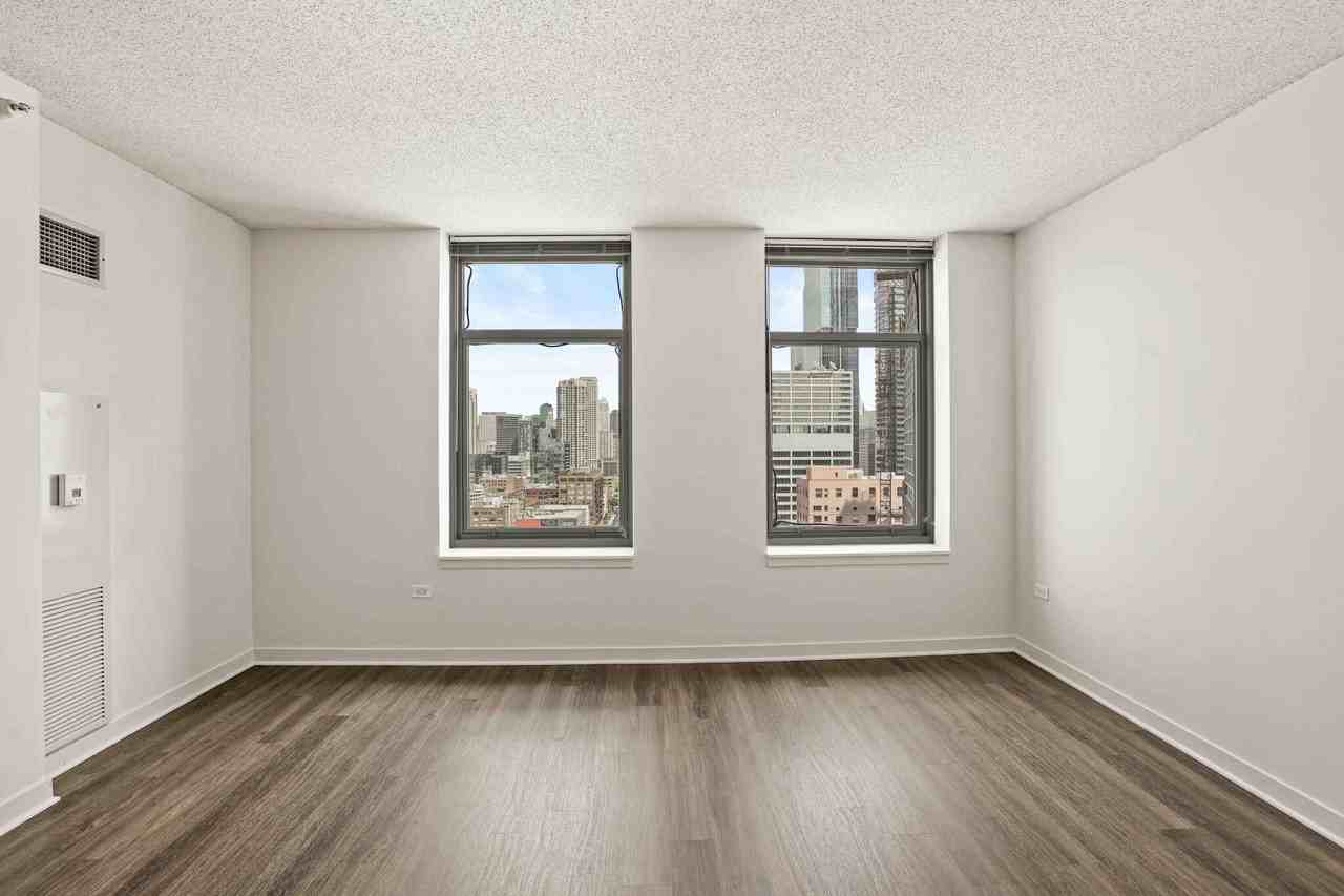 589 W Kinzie St - Photo 3 of 16