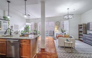 featured image of 840 Tchoupitoulas St #309