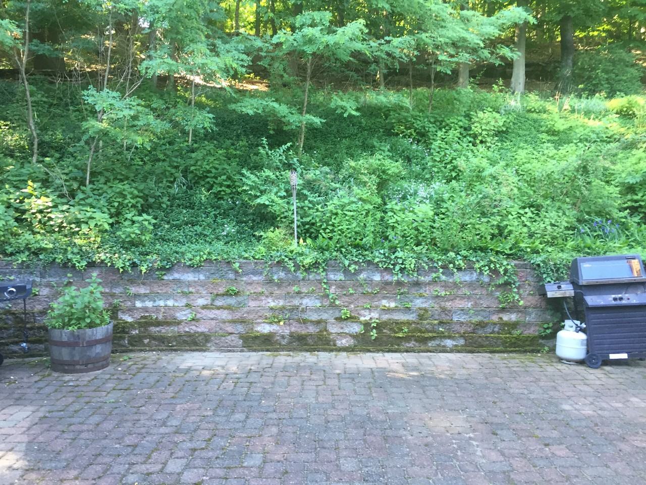 50 Western Ave #1L - Photo 6 of 21