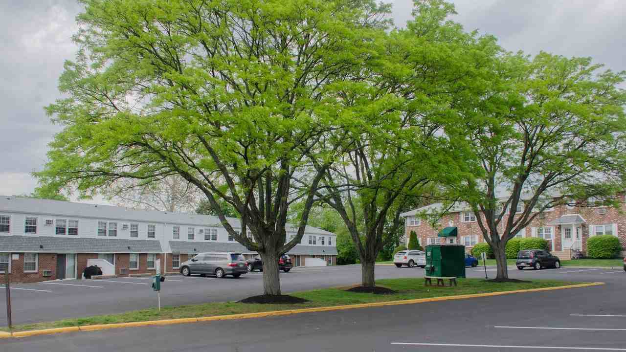 Broadmore Apartments - Photo 2 of 50