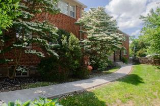 Elkins Park Gardens - Photo 1 of 1